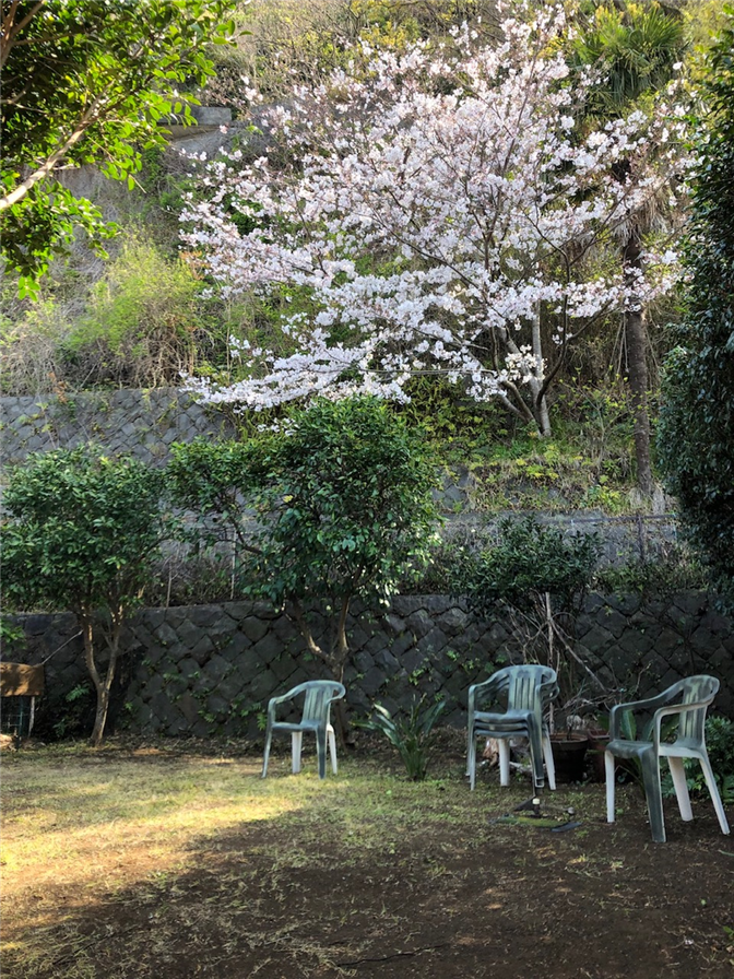 上香貫　桜庭３
